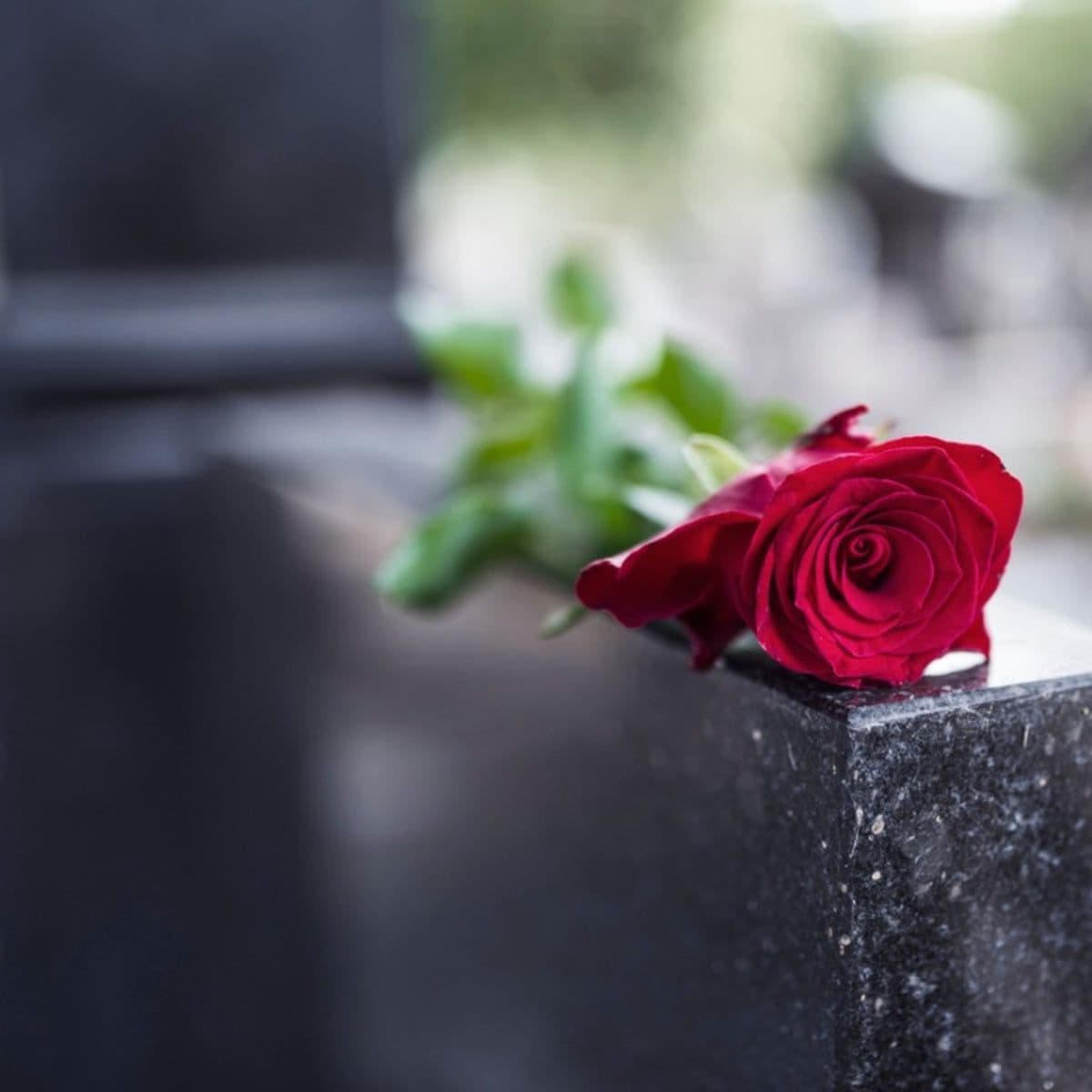Helping sarah James's Family Say Goodbye
